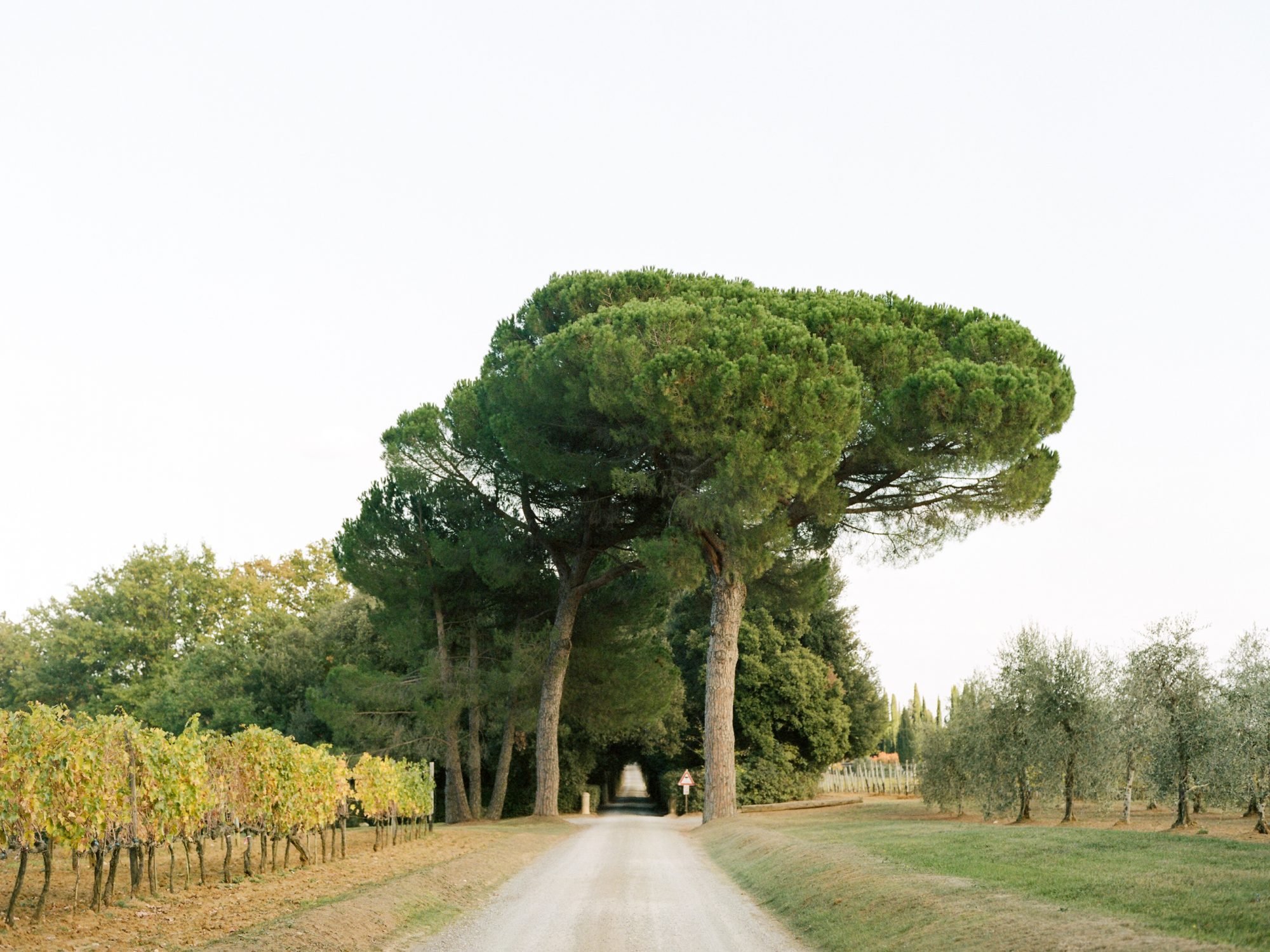 Tuscany. Photo by Rachel Havel