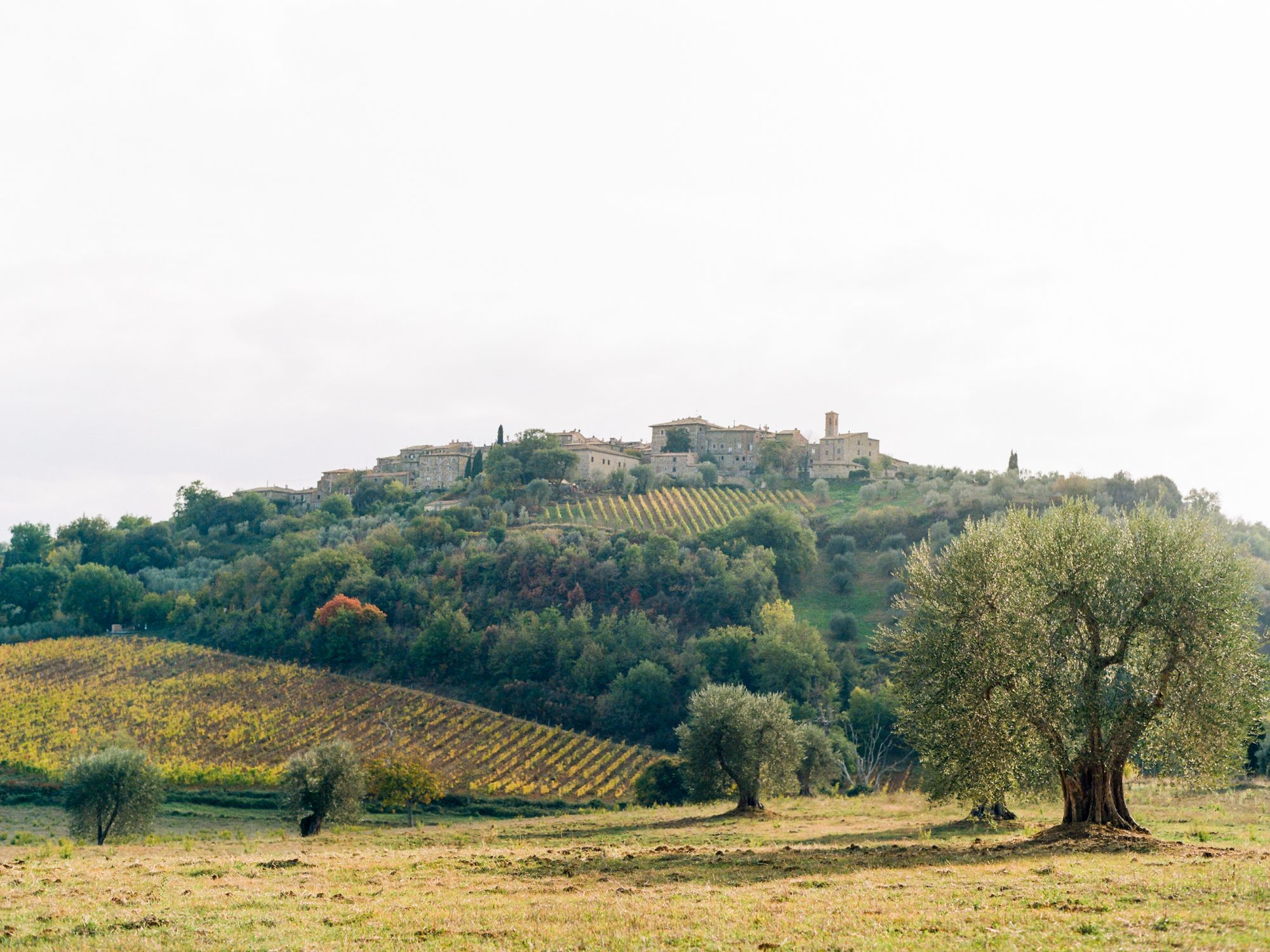 Montepulciano in Tuscany. Photo by Rachel Havel