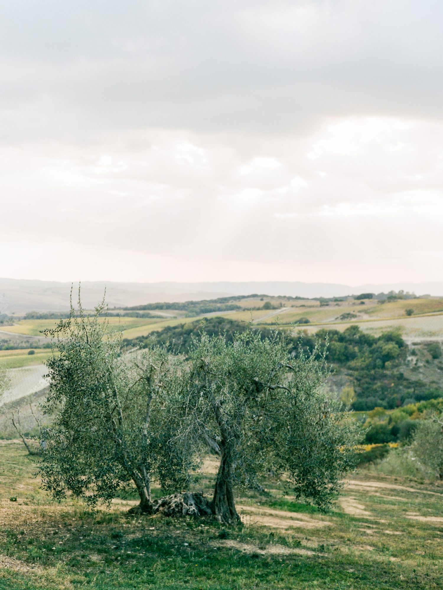 Montepulciano in Tuscany. Photo by Rachel Havel